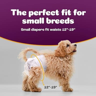 Inspire Pet Care Dog Diapers Female Dogs | Bulk Value Doggie Incontinence, Accidents, for Heat, Pee or Period and Housebreaking (Small (50 Count)) - Image 2