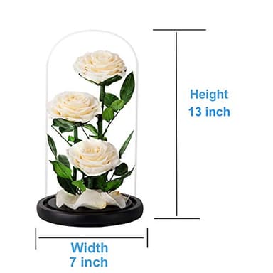 White Roses Handmade Preserved Rose in Glass Dome, Preserved Flowers Never Withered, Birthday Gifts for Women (13 inch) - Image 4
