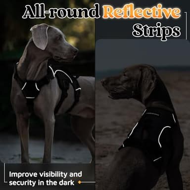 rabbitgoo Escape Proof Dog Harness, Soft Padded Full Body Pet Harness, Reflective Adjustable No Pull Vest with Lift Handle and Leash Clip for Large Dogs Walking Hiking Training, M, Black - Image 9