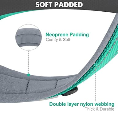 Joytale Dog Collar for Small Dogs, Neoprene Padded and Adjustable, Reflective Wide Heavy Duty Pet Collars with Durable Metal Belt Buckle for Walking, Teal, S - Image 2