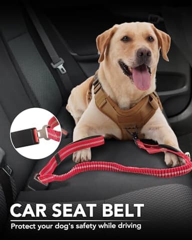 Joytale Tactical Dog Leash Heavy Duty, 4-6FT Shock Absorbing Bungee Lead with 2 Padded Handle, Metal Carabiner Clip, Car Seatbelt, Strong No Pull Leash for Medium Large X-Large Dogs, Red - Image 5