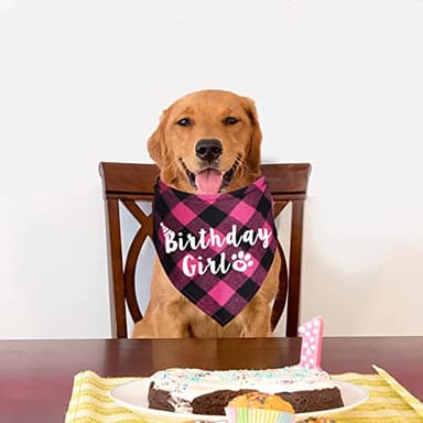 JOTFA Plaid Dog Bandana for Birthday Party Supplies (Pink) - Image 2