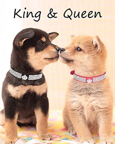 Dog Collar for Small Dogs, Adjustable Leather Suede Bling Dog Collars,Pink Dog Collar Cat Collar, Rhinestone Dog Collar (L, purple3) - Image 6