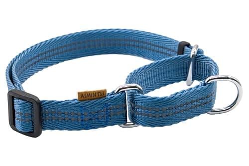 Aiminto Adjustable Nylon Reflective Martingale Dog Collar for Training and Walking (Blue, L (Neck: 19"-28", Width: 1")) - Image 1