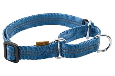 Aiminto Adjustable Nylon Reflective Martingale Dog Collar for Training and Walking (Blue, L (Neck: 19"-28", Width: 1")) - Image 1