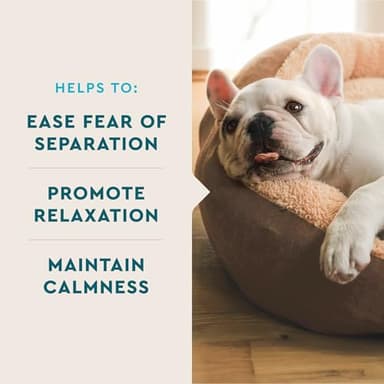 VetIQ Advanced Calming Support Supplement for Dogs, Calming Chews Help Manage Stress and Promote Relaxation, Anxiety Relief for Dogs, Made in The USA, 60 Count - Image 4