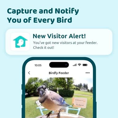 NETVUE by Birdfy Smart Bird Feeder with Camera, Bird Watching Camera, Auto Capture Video & Motion Detection, 1080P Live Steam, Cardinal Feeder Outdoor Wireless, Ideal Present for Backyard Birder, Blue - Image 2