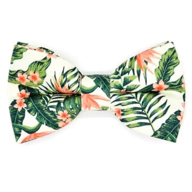 Bow Tie Cat Collar Set, Wedding/Birthday Gift for Cat, Summer Strelizia Flower Floral, Cat Accessories - Image 4