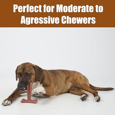 SPOT Bam-Bones Plus T Bone – Bamboo Fiber & Nylon Dog Chew Toy for Moderate to Aggressive Chewers, Durable Long Lasting & Non-Splintering, Beef Flavor Toy for Adult Dogs & Puppies Under 60 lbs, 6 in - Image 6