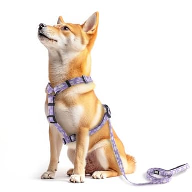 Dog Harness Leash Set, No Pull Adjustable Halter Cute Comfort Padded Handle for Medium Sized Large Small Dogs Walking Training Running with Reflective(XSmall,Purple) - Image 7