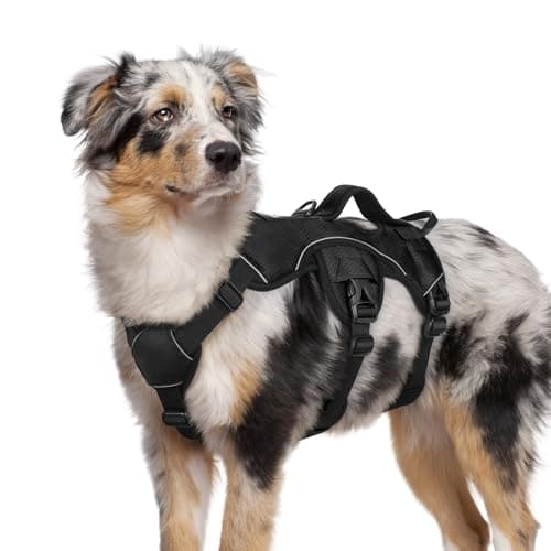 rabbitgoo Escape Proof Dog Harness, Soft Padded Full Body Pet Harness, Reflective Adjustable No Pull Vest with Lift Handle and Leash Clip for Large Dogs Walking Hiking Training, M, Black - Image 1