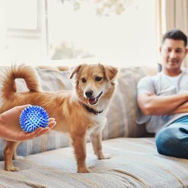 SHARLOVY 3'' Squeaky Balls for Small Dogs, 4 Colors Spiky Dog Balls for Puppy Teething, Durable Puppy Chew Toys for Teething, Indestructible Toys to Fetch and Train, BPA Free Non-Toxic - Image 7