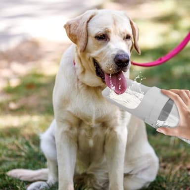 Dog Water Bottle Portable -Foldable Travel Water with Food Container, Leak Proof and Lightweight Water Bottle for Dogs,Dog Stuff Accessories Items,Lightweight & Convenient for Outdoor (Gray, Small) - Image 6
