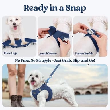 rabbitgoo Dog Harness Small Sized and Leash Set, Step in Soft Light Puppy Vest, Breathable Mesh Pet Harness, Reflective for Safe Outdoor Walking, Navy Blue S - Image 8