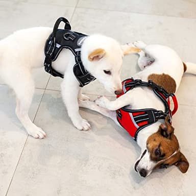 Puwihoe No Pull Dog Harness, Reflective Walking Dog Harness with Easy Control Handle and Front & Back Clips,Adjustable Breathable Soft Padded Dog Vest Harness for Large Medium Small Dogs,Orange,M - Image 7