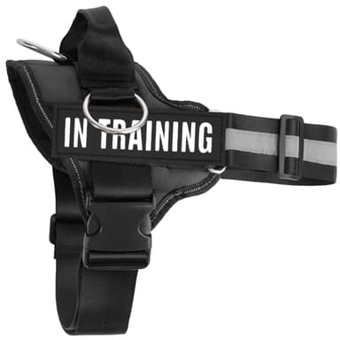 JUSTYEZI Essential Dog Harness with 3 Leash Clips - No-Pull, Adjustable, Comfortable Pet Vest Harness for Small to Large Dogs - Easy On, No Choke, Reflective, Padded Harness for Walking and Training - Image 1