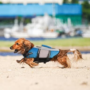 Queenmore Dog Life Jacket Vest for Swimming Boating Kayaking, Small Medium Doggie Puppy Life Preserver Lifesaver Pet PFD Lifejacket Safety Water Vest Pool Floatie (New Blue,M) - Image 6