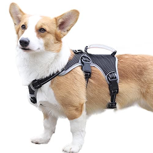Paworld No Escape Dog Harness, Escape Proof Harness, Fully Reflective Harness with Padded Handle, Breathable,Durable, Adjustable Vest for Medium Dogs Walking, Training, and Running Gear (Black, M) - Image 1