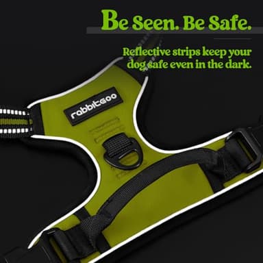 rabbitgoo Dog Harness No Pull with 2 Leash Clips, Adjustable Soft Padded, Reflective Oxford No Choke Pet Vest with Easy Control Handle for Small Dogs, Wild Lime,S - Image 7