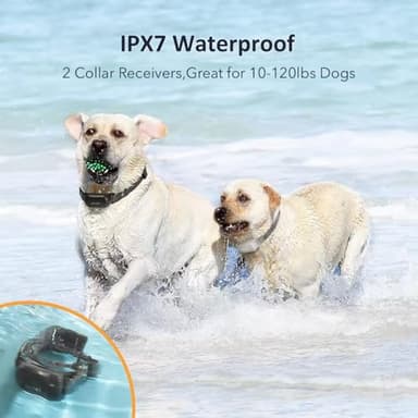PATPET Shock Collar for Dogs(10-120lbs), 4000ft Rechargeable IPX7 Waterproof Training Collar with Remote for 2 Dogs- Electric Dog Collar for Small Medium Large Dogs 2 Packs - Image 4