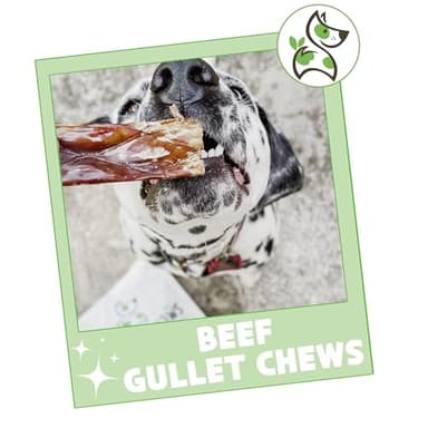 Nature Gnaws Beef Gullet Chews for Large Dogs 9-10" (20 Count) - Natural Beef Jerky Stick Dog Chew Treats - Rawhide Free - Image 7