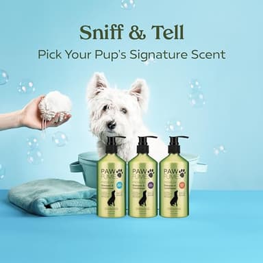 PAWFUME Dog Shampoo and Conditioner, Blue Ribbon, 1-Pack – Nourish & Detangle for a Silky Soft Coat – Probiotic, Deep-Cleaning, pH-Balanced Formula – Puppy Shampoo and Conditioner for All Breeds - Image 11