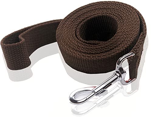 Nylon Dog Leash 10 Feet Long, Walking Training Dog Leashes for Medium Large Dogs, 1 Inch Wide (Brown) - Image 1