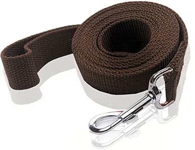 Nylon Dog Leash 10 Feet Long, Walking Training Dog Leashes for Medium Large Dogs, 1 Inch Wide (Brown) - Image 1