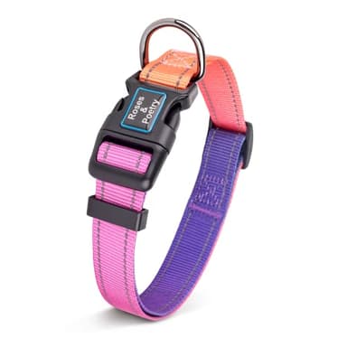 Roses&Poetry Reflective Small Dog Collar and Leash Set, Puppy Personalized Boy and Girl Collar with Leash, Adjustable Nylon Durable Pet Matching Collars Leashes for Small Puppies(Mistyrose-S - Image 3
