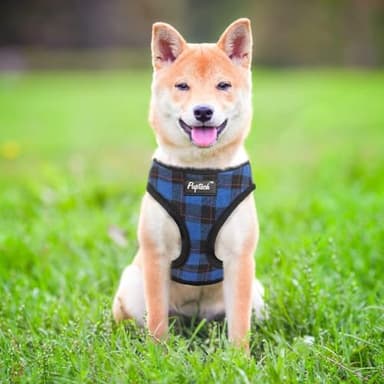 PUPTECK Soft Mesh Dog Harness and Leash Set Pet Puppy Cat Comfort Padded Vest No Pull Harnesses, Navy Blue, M - Image 6