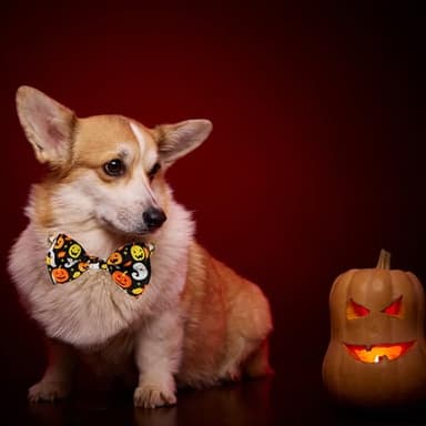 Halloween Dog Collar with Bow tie, Ghost and Pumpkin Holiday Pet Collar for Small Medium Large Dog Puppies - Image 6
