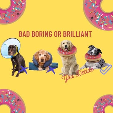 Dog Donut Collar | Alternative to Traditional or Soft Dog Cones | Inflatable Post-Surgery Cone for Medium Dogs (Pink) - Image 6