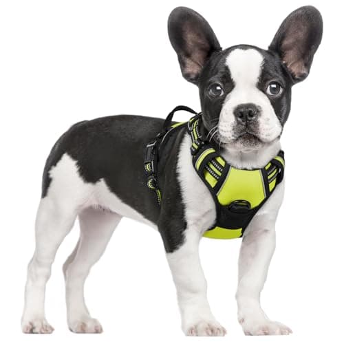 rabbitgoo Dog Harness No Pull with 2 Leash Clips, Adjustable Soft Padded, Reflective Oxford No Choke Pet Vest with Easy Control Handle for Small Dogs, Wild Lime,S - Image 1