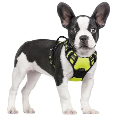 rabbitgoo Dog Harness No Pull with 2 Leash Clips, Adjustable Soft Padded, Reflective Oxford No Choke Pet Vest with Easy Control Handle for Small Dogs, Wild Lime,S - Image 1