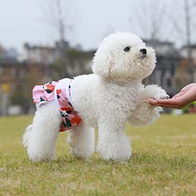 Reusable Dog Diapers Female 3 Pack Washable Premium Highly Absorbent Doggie Diapers, Flexible Puppy Diapers, Durable Leak-Proof Fruit Dog Diapers for Period Heat Incontinence Puppy Training, XS - Image 5