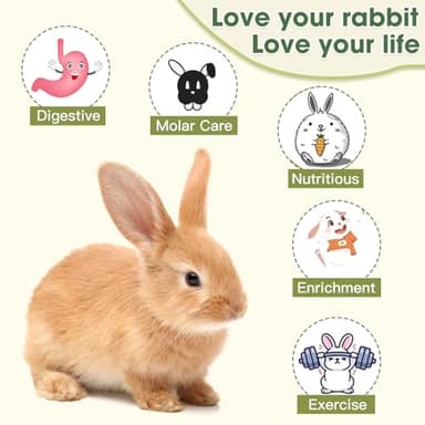 Jorewood Rabbit Chew Toys, Natural Reed Grass Hanging Basket Chews, Woven Bunny Chewing Timothy Cake Wood Treats for Small Pets - Image 5