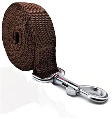 TAIAN 4FT/5FT/6FT Strong Dog Leash, Nylon Dog Leashes for Small Medium Large Dogs (Brown, 1 in x 10 ft) - Image 1