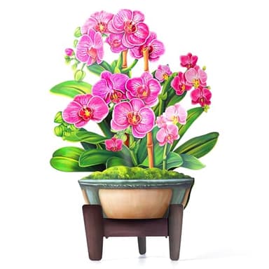 Airpark Pop Up Flower Card, 3D Paper Flowers Bouquet – 14" Orchids, Birthday, Mother’s Day, Get Well Greeting Cards with Note Card & Envelope - Image 9