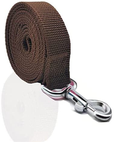 Nylon Dog Leash 10 Feet Long, Walking Training Dog Leashes for Medium Large Dogs, 1 Inch Wide (Brown) - Image 2