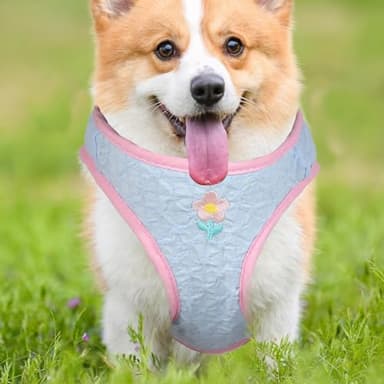 AIITLE Breathable Dog Vest Harness and Leash Set - Step in Adjustable Dog Harness with Magic Tape Design and Quick-Release Buckle - Outdoor Walking, Training for Medium Dogs Blue L - Image 4