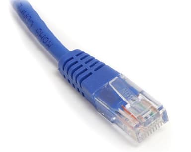 StarTech.com 100 ft Cat5e Patch Cable with Molded RJ45 Connectors - Blue - Cat5e Ethernet Patch Cable - 100ft UTP Cat 5e Patch Cord (M45PATCH100B) - Image 2
