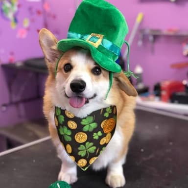 CROWNED BEAUTY St Patricks Day Dog Bandanas Reversible Small 2 Pack, Irish Clover Set, Green Plaid Adjustable Triangle Holiday Scarves for Dogs Cats Boy Girl Pets DB160-S - Image 3