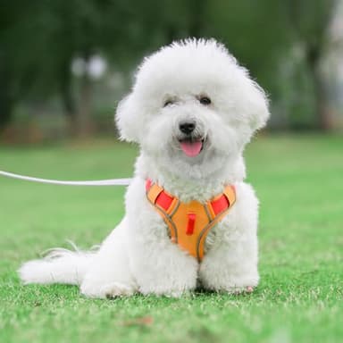Paipeper No Pull Dog Harness,Adjustable Lightweight Small Medium Dog Vest Harness with Reflective Strip,Pet Harness with Easy Control Handle,Stops Pets from Pulling and Choking(Yellow Orange-l) - Image 5