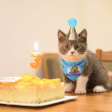 EXPAWLORER Cat Birthday Party Supplies, Cat Birthday Cake Hat & Bandana Scarfs Set, Cute Triangle Scarf with Party Hat and Flag Decorations for Kittens, Small Animals Blue - Image 7