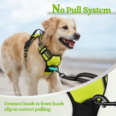 rabbitgoo Dog Harness No Pull with 2 Leash Clips, Adjustable Soft Padded, Reflective Oxford No Choke Pet Vest with Easy Control Handle for Small Dogs, Wild Lime,S - Image 5