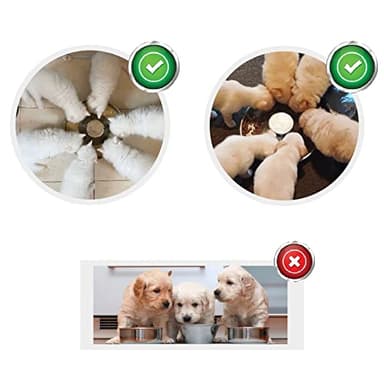 Puppy Dog Bowl, Stainless Steel Multiple Puppies Feeder, Dogs Basic Food and Water Bowls Weaning Dish for Small, Medium and Large Dogs Pets - Image 4