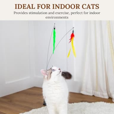 Cat Wand Toy With Suction Cups Interactive Feather Teaser Wand With Worms & Catnip Lizard Snake Chew Toys Cat Toys For Indoor Cats & Kittens Enrichment Toy For Bored Cats With 6 Colorful Attachments - Image 5