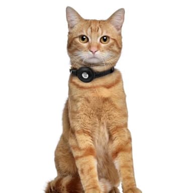 OOPSDOGGY Leather AirTag Cat Collar with Bell - Non Breakaway Kitten Collar with Apple Air Tag Holder - Lightweight GPS Pet Collars for Girl Boy Cats, Small Dogs, Puppies (Black) - Image 6