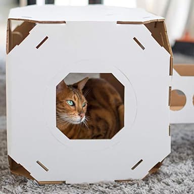 Catty Stacks Durable, Modular Cat House Cubes/Cat Condos, Made in USA (2-Pack (New! with Bridge), Snow White) - Image 5