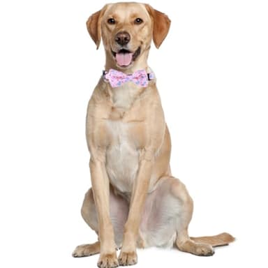 Easter Dog Collar with Bowtie Bunny Egg Holiday Adjustable Pet Collars with Metal Buckle for Dogs (Rabbit Eggs,Large) - Image 4